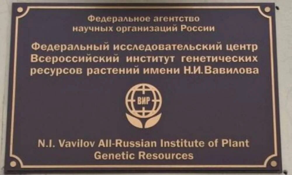 Центр генетических ресурсов. Институт вавилова санкт-петербург. всесоюзный институт растениеводства (вир). всероссийский институт растениеводства имени н.и. вавилова (вир). институт генетических ресурсов растений имени н.и вавилова.