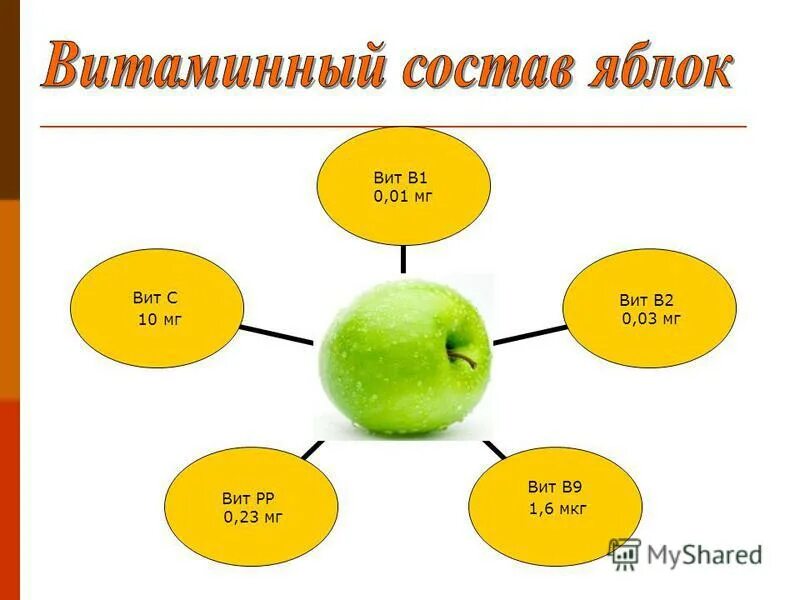 Из чего состоит яблоко. Про яблоко и вит с. яблоко состоит из воды. витаминный состав яблока на башкирском.
