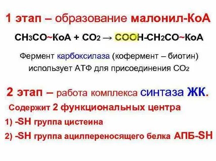 В процессе кислородного этапа образовалось