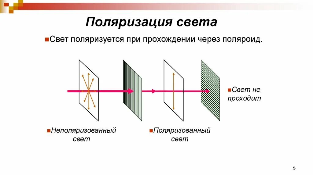 Поляризация элементов. Поляризация волн физика 11 класс. поляризация света 11 класс физика. поляризация света физика 9 класс. поляризация рисунок физика.