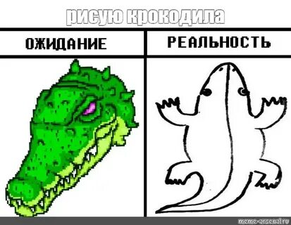 Тест крокодил