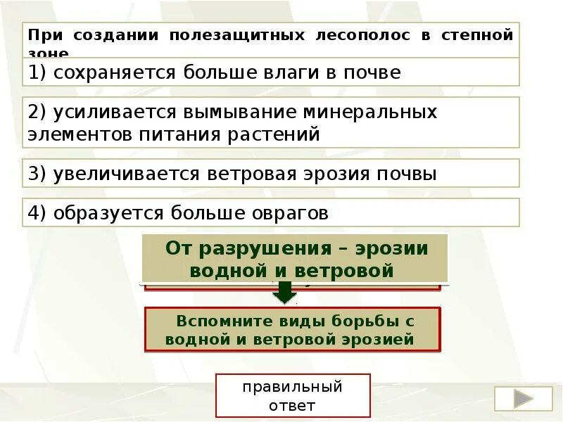 Создание полезащитной лесной полосы. Полезащитных лесополос в степной зоне. создание лесополос в степной. посадка лесополос в степной зоне. создание лесополос в зоне степей.