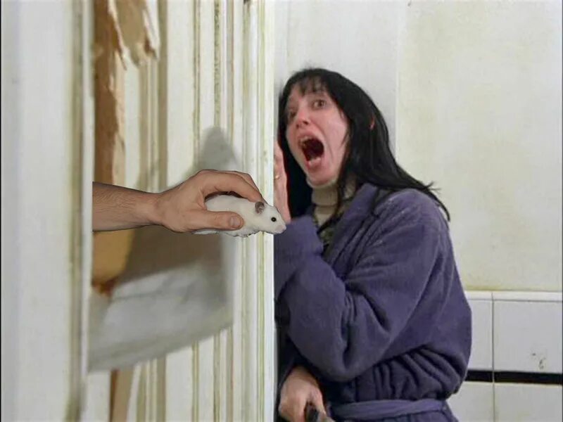 Кадра двери