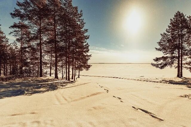 Слушать песню за летом зима. Зима лето. Зима-лето Бердск. Из зимы в лето. Адыгейск зима и лето.