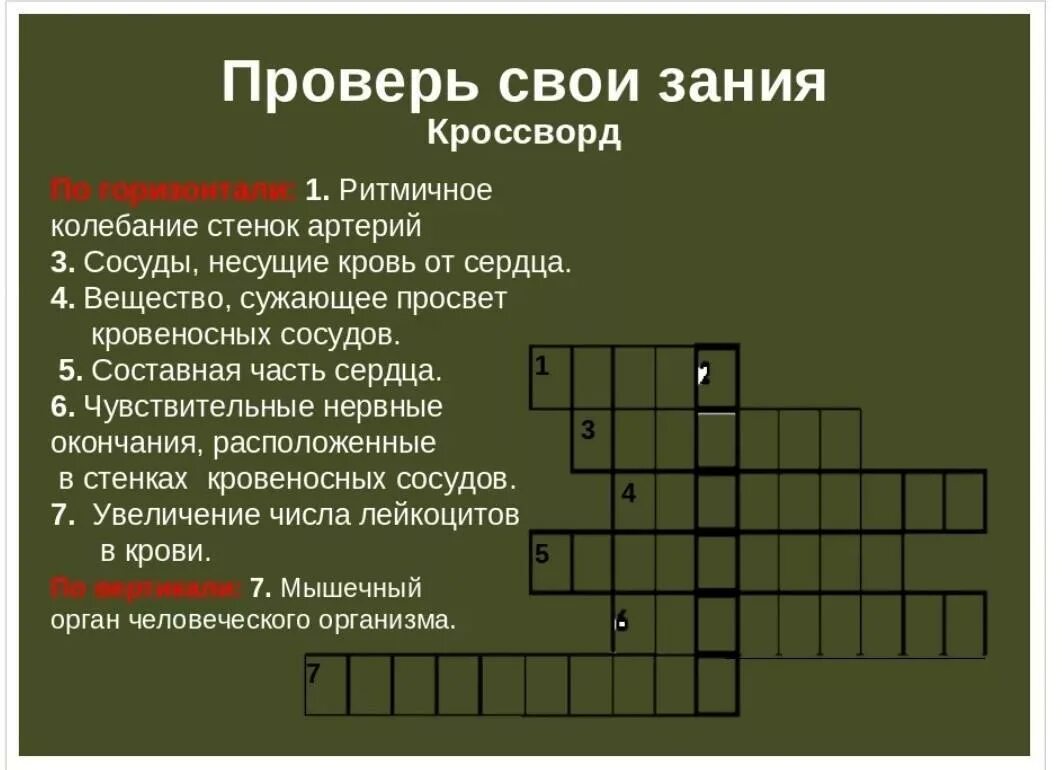 Кроссворд. Кроссворд медицинский с ответами. Кроссворд по патологии на тему сердечно сосудистая система. Кроссворд биология.