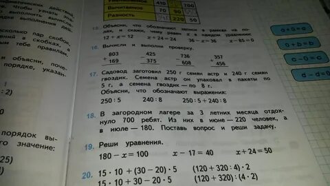 Садовод заготовил 250 г семян астр