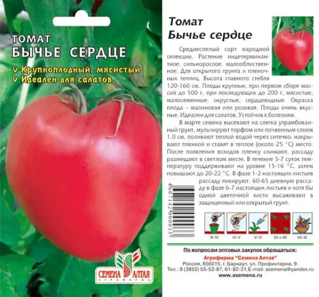 Томаты сорт бычье сердце характеристика и описание