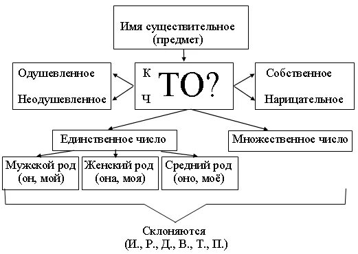 Конспект по теме существительное. Опорная схема существительное. Имя существительное опорная схема. Опорная схема имени существительного. Опорная схема начальная школа имя существительное.