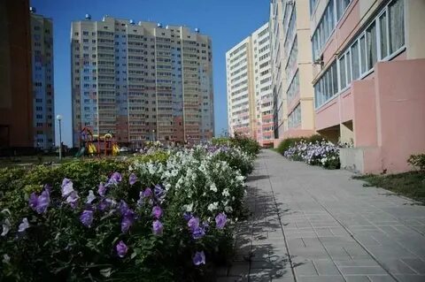Цветы ульяновск засвияжье