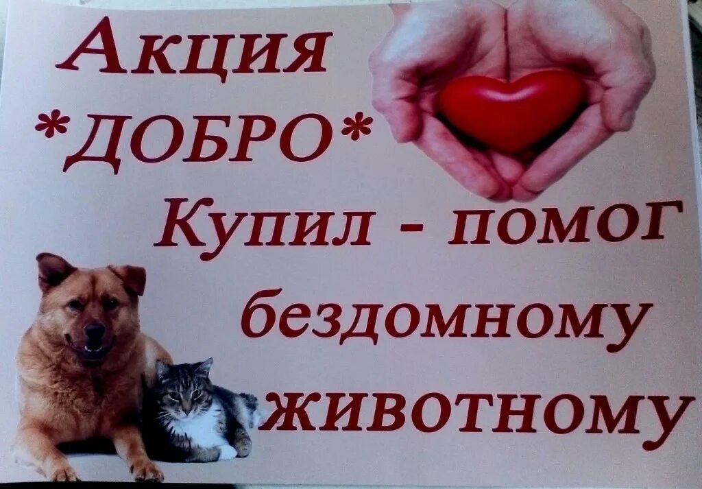 Покупая помогаешь. Фонд берегиня пермь. Благотворительная акция от парикмахерской. Благотворительная акция текст. Покупая помогаешь.