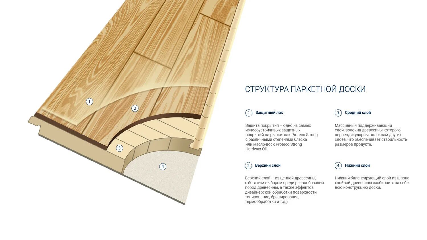Чем отличается паркет от доски. Инженерная паркетная доска толщина. состав паркетной и инженерной доски. состав пола паркетная доска. инженерная доска для пола структура.