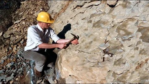 Геологические месторождения полезных ископаемых