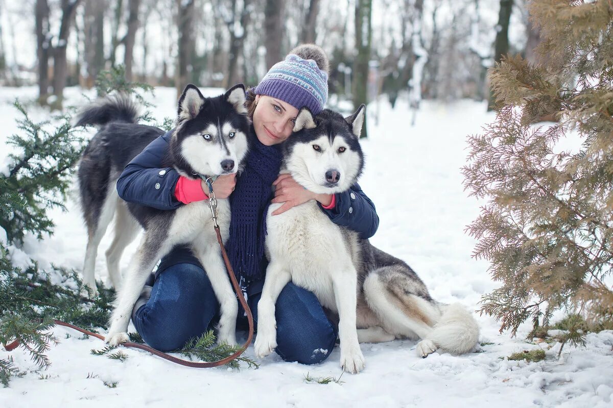 Девочка с собакой из лайка. Сибирский хаски с человеком. Хаски с человеком. Хаски зимой. Фотосессия с хаски.