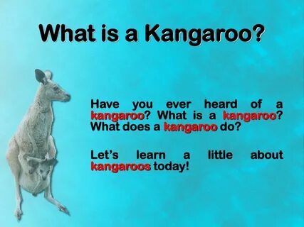 Kangaroo перевод на русский с транскрипцией