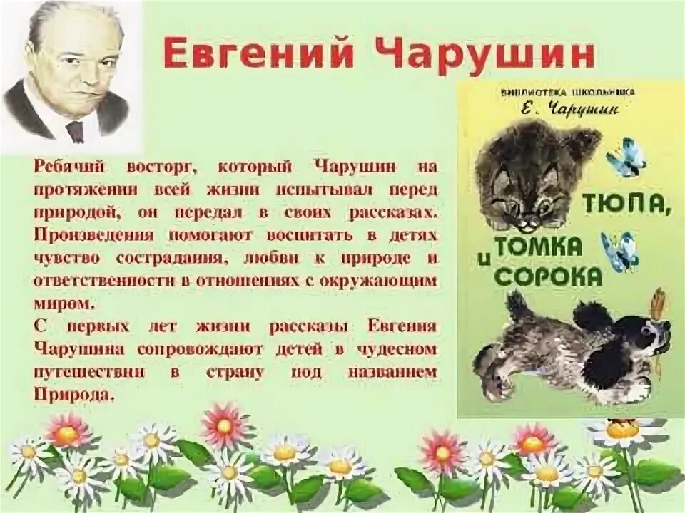 Рассказы чарушина. Тезисный план по рассказу чарушина друзья. Тезисный план по рассказу чарушина друзья. Рассказы чарушина о животных. Вопросы по произведениям чарушина.