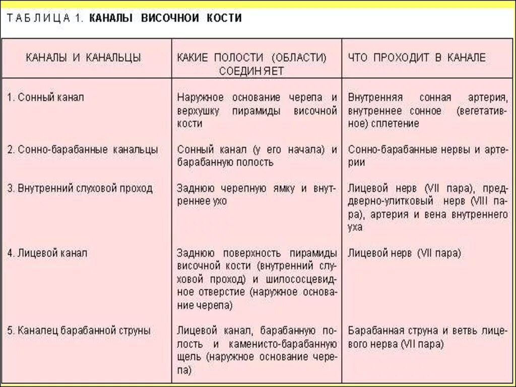 Логотипы российских телеканалов. Твк канал. Список каналов кабельного телевидения. Каналы и о чем они. Каналы цифрового тв.