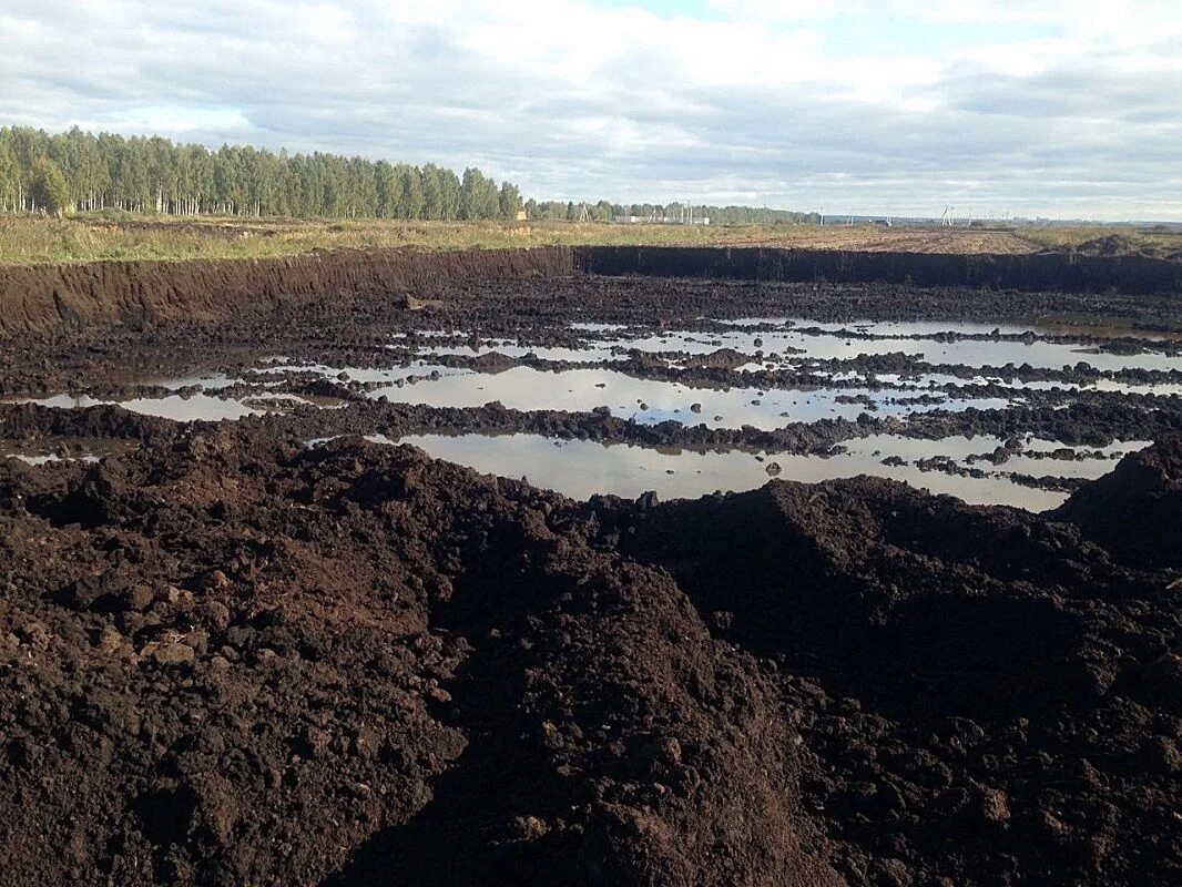 Его добывают на болотах окружающий. Торфяники Дмитровского района. Торфяные месторождения Московской области. Торфяные болота Московской области. Торф в Архангельской области.