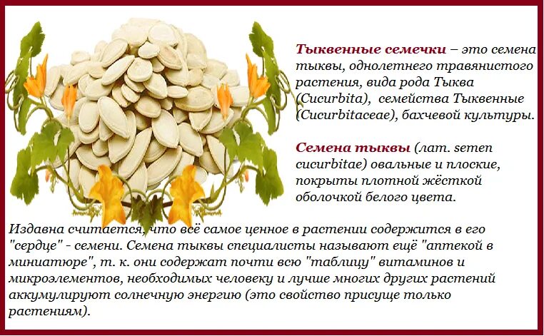Полезность тыквенных