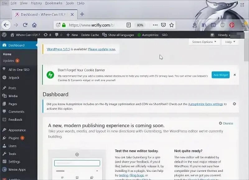 Root wordpress