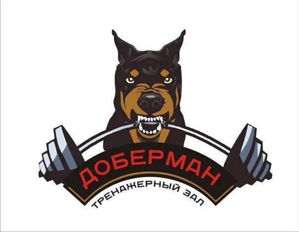Окна доберман. Доберман лает. Доберман в окне. Окна доберман. Доберман в окне.