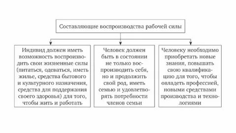 Составляющие рабочей силы