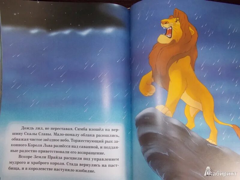 Король Лев книга. Иллюстрация к книге Король Лев. Книга Король Лев читать. Король Лев книжка 1995. Читать про льва