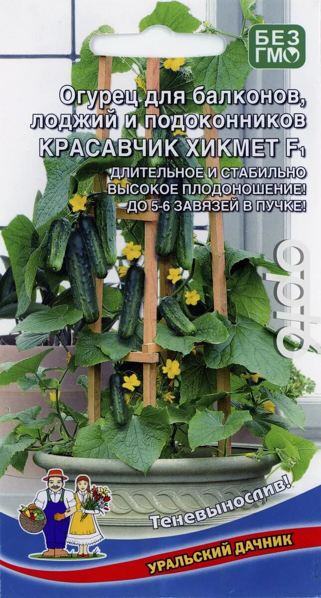 Сорта огурцы для подоконника самоопыляемые балкона. Балконные сорта огурцов самоопыляемые. Сорт огурцов курносики. Балконные сорта огурцов самоопыляемые. Балконное f1 корнишоны огурцы.