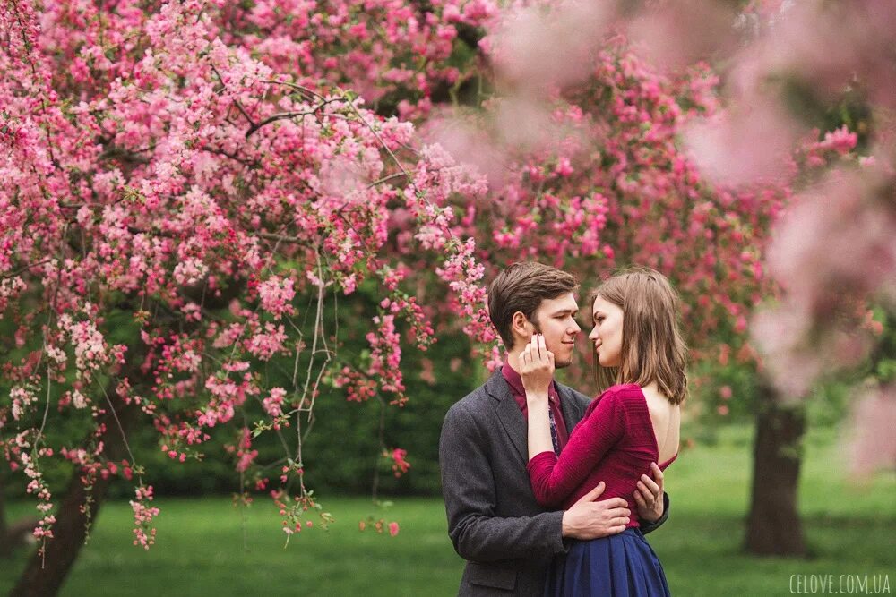 Love story фотосессия. Пара в цветущем саду. Лав стори в цветущем саду.