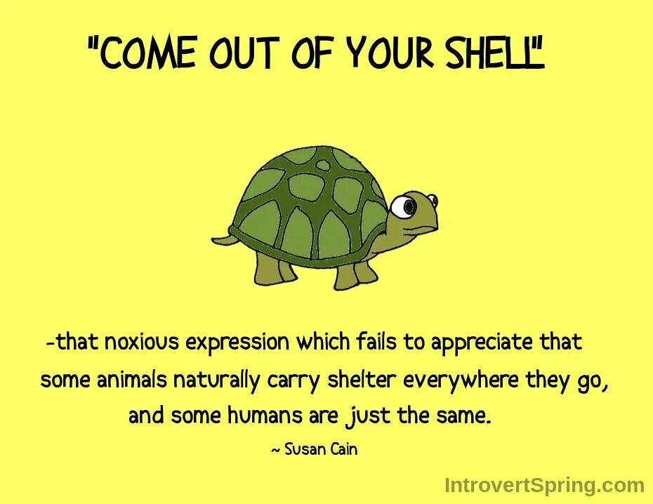 To talk to you because. Introvert черепаха. Come out. Come out of Shell. Черепаха ха ха.