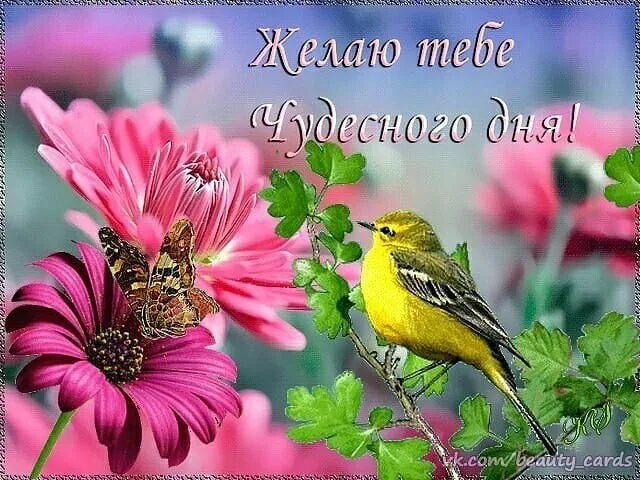 Открытка Приятного денечка