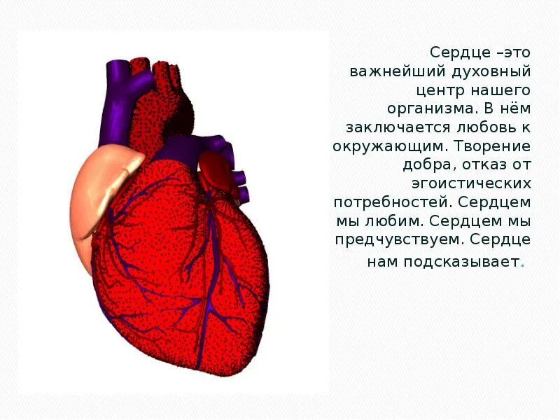 Дарю сердечко. Особенности работы сердца. Высказывания о сердце. Мое сердце. Сердечко прикол.