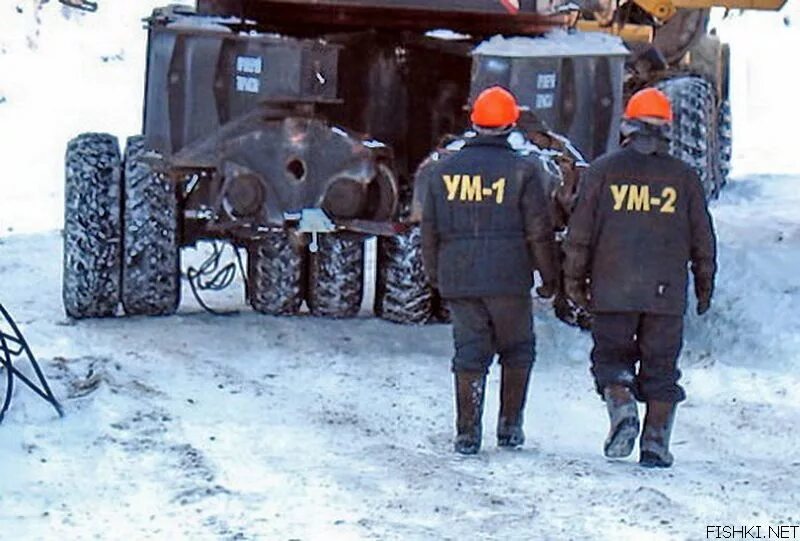 Один ум хорошо а два лучше. Ум-1 ум-2. один ум хорошо а два. ум 1 ум 2 лучшие умы россии. самые смешные демотиваторы.