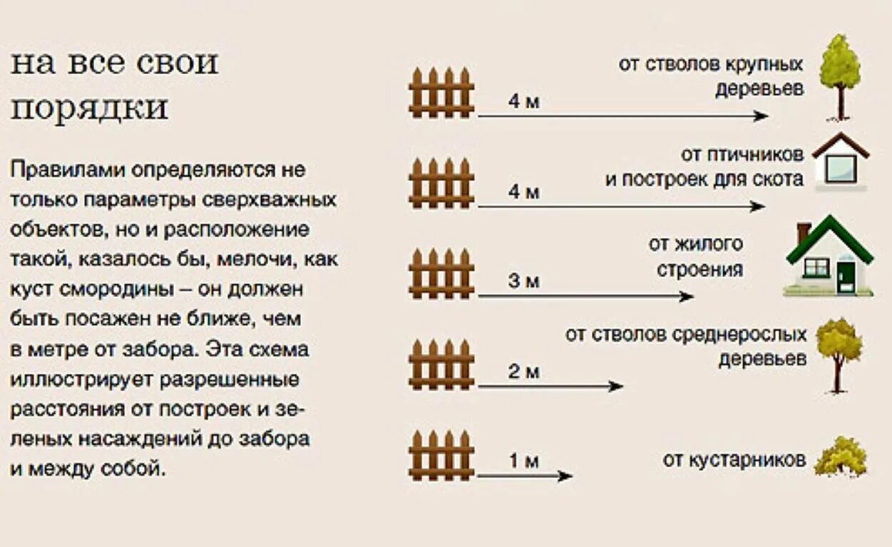 Нормативы по высоте забора между земельными участками. Посадка деревьев от забора соседей нормативы. Нормы высоты забора частного дома. Посадка малины расстояние от забора соседа.