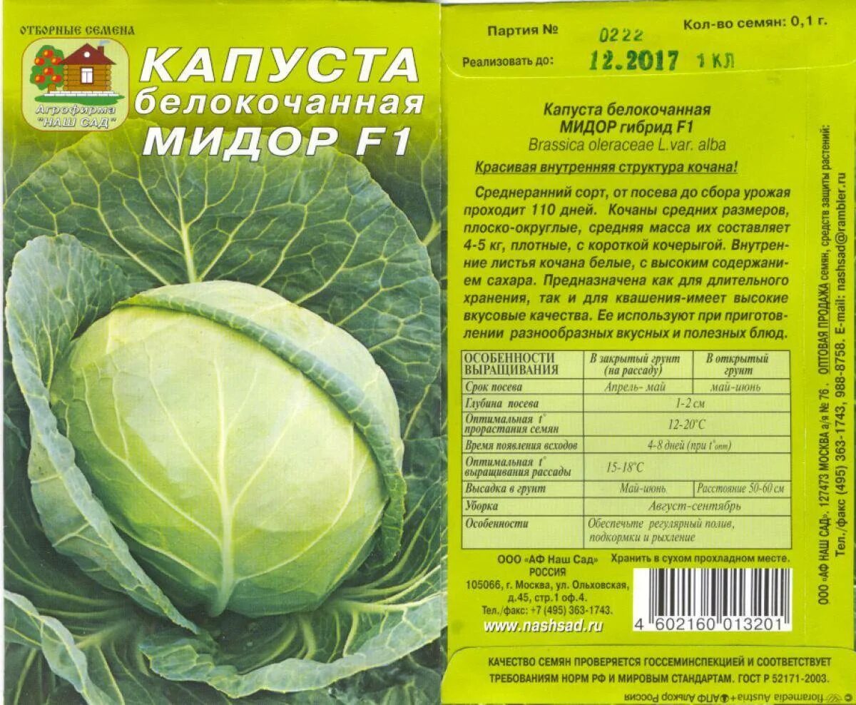 Капуста слава 1305 семена. Капуста белокочанная слава грибовская 231. Капуста семена ранние сорта. Какая самая хорошая капуста. Какая самая хорошая капуста.