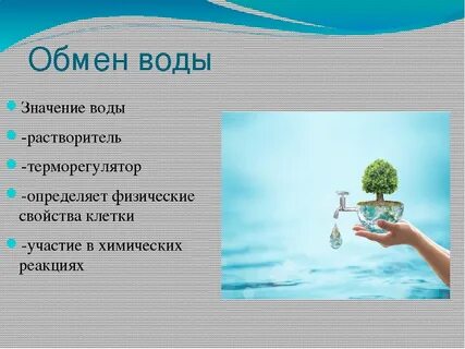 Вода смысл
