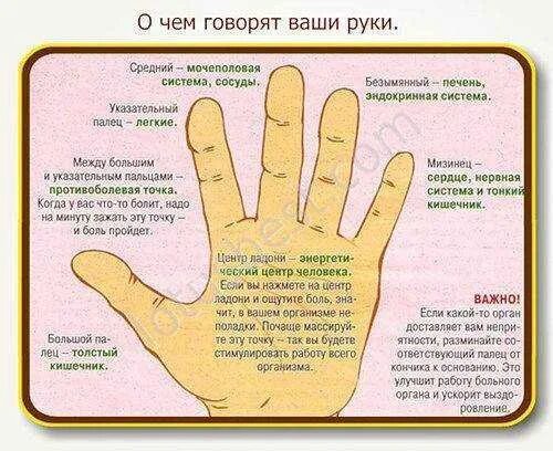 Указательный жест у ребенка когда появляется. Средний палец левой руки. указательный палец левой руки. дёргается указательный палец на левой руке. безымянный палец правой руки.