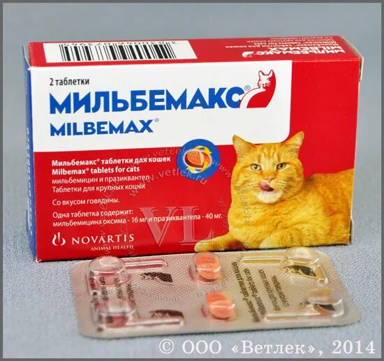 Глистогонное для кошек купить. Антигельминтик Elanco Мильбемакс для кошек, 2 таблетки. Противоглистные препараты для кошек Мильбемакс. Глистогонные препараты для кошек Мильбемакс. Мильбемакс суспензия для кошек.