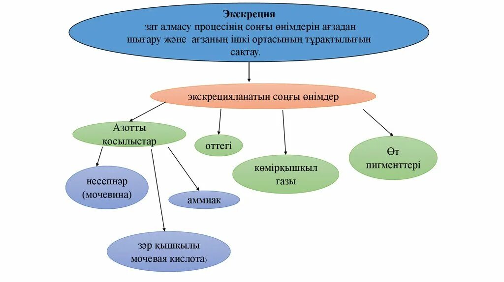 Зат алу. Экскреция дегеніміз не. Зат алмасу дегеніміз не. Өсімдіктердегі зат алмасу.