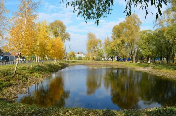 Г ковров кукушкин пруд. Кукушкин пруд ковров 2022. Кукушкин пруд ковров. Кукушкин пруд города коврова. Кукушкин пруд ковров благоустройство.