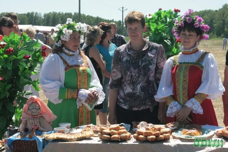 Татарский район НСО. Николаевка татарский район. Татарская Околица. Новосибирская область татарский район село Николаевка.