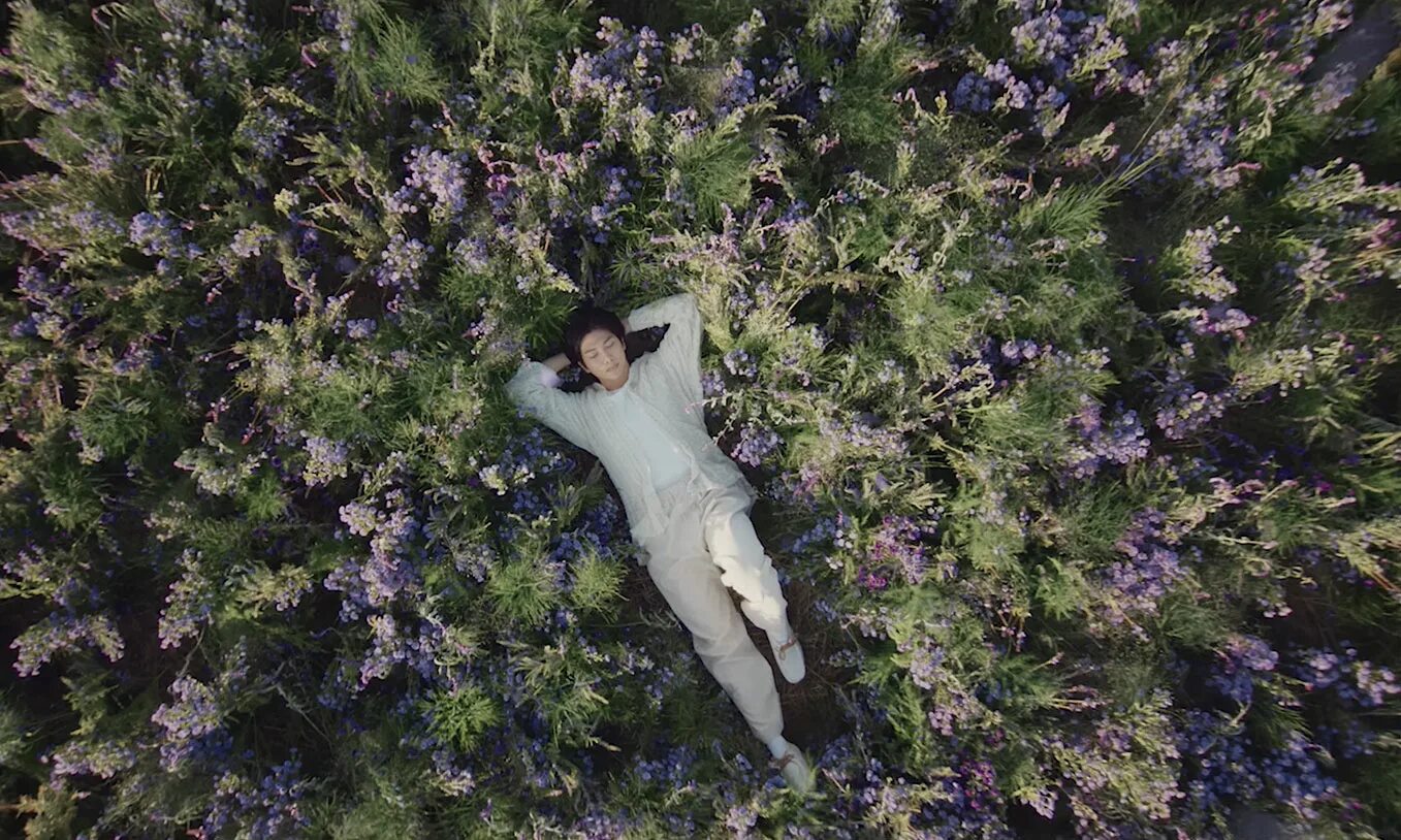 Rm wild flower