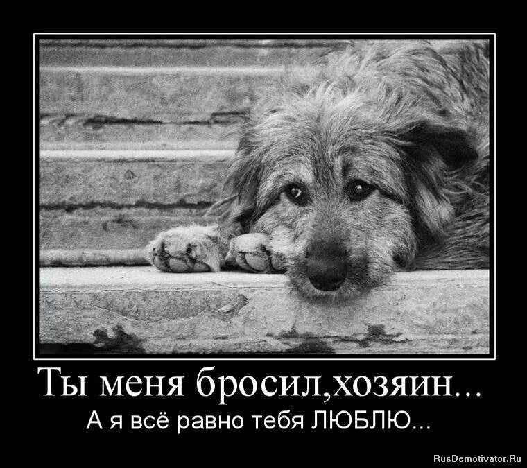 Я бросил любящего
