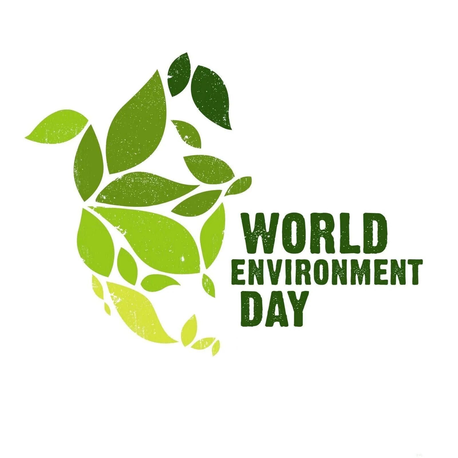 Environment day. World environment day 2025. всемирный день окружающей среды логотип. 5 june environment day. 5 june world environment day.
