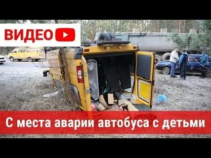 Автобус курлово гусь хрустальный на завтра