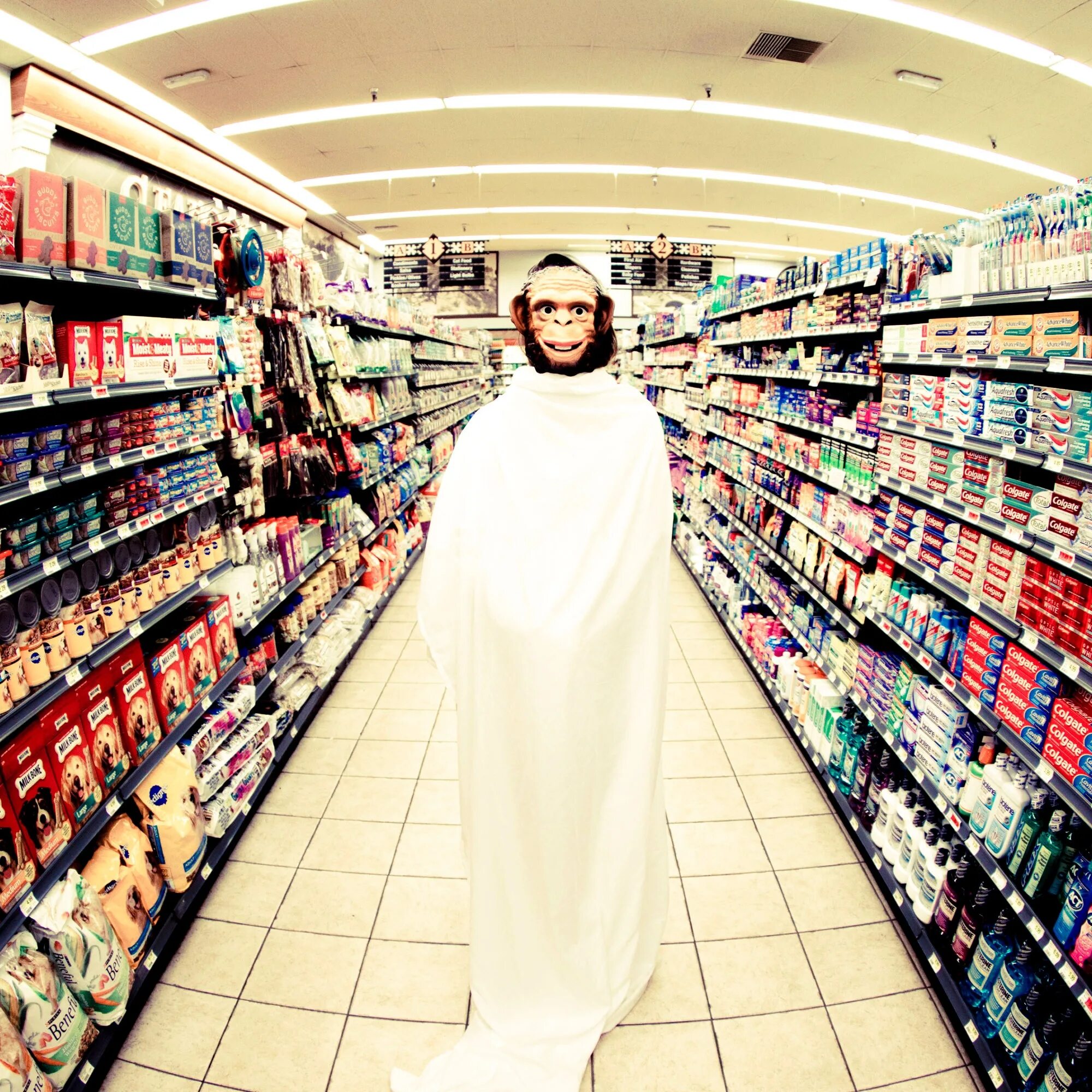 Everyone is gone. Everyone is gone. Everyone is gone. Everybody is going vinyl. Moby.