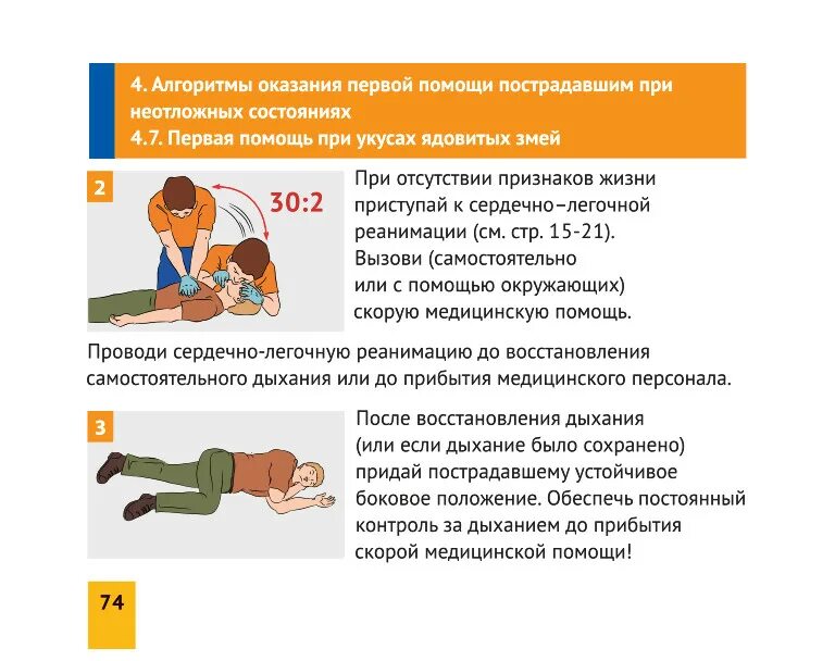 Назовите признаки жизни у пострадавшего. Алгоритм оказания первой доврачебной помощи пострадавшему. Алгоритм действий при оказании первой помощи реанимации. Алгоритм действий при оказании первой доврачебной неотложной помощи. Опишите алгоритм оказания первой медицинской помощи при ранении.