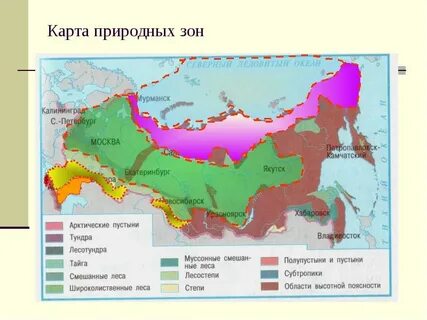 Где находятся субтропики на карте
