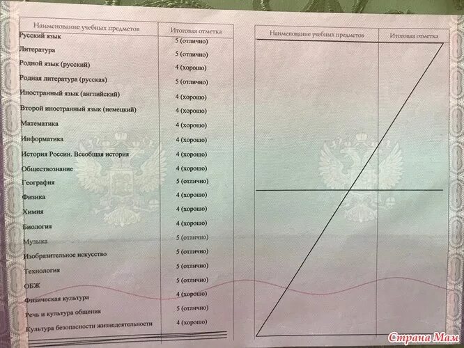 Колледжи после 11 по аттестату. Предметы в аттестате. Средняя оценка аттестата. Аттестат за 9 класс предметы. Аттестат за 11 класс предметы.