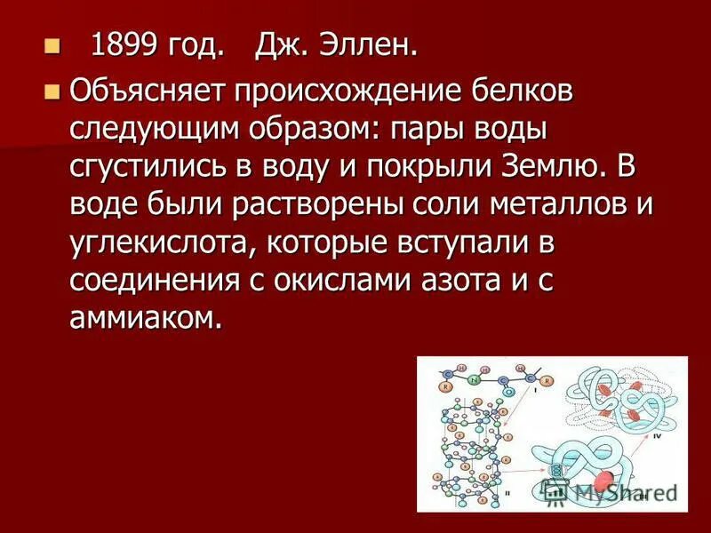 белка происхождение слова