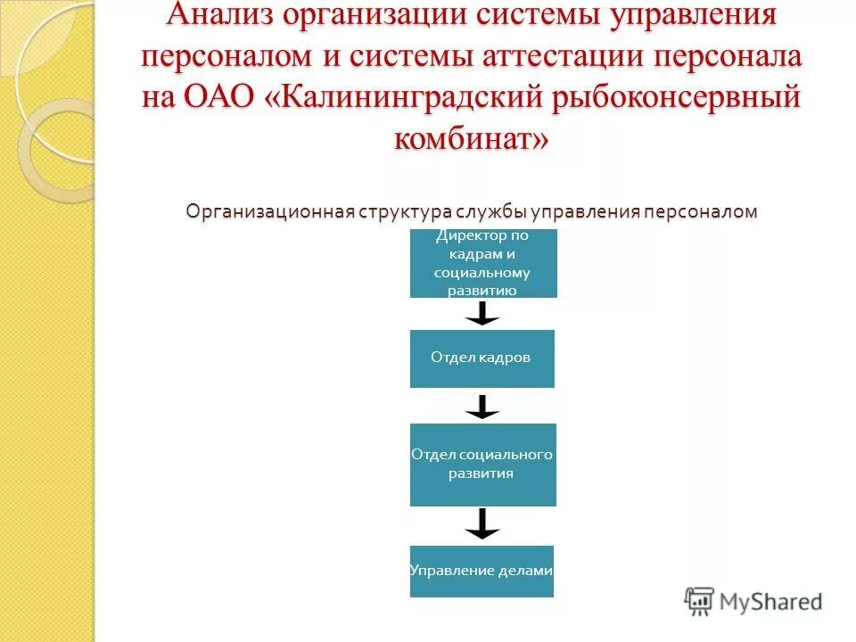 Общественные организации курсовые